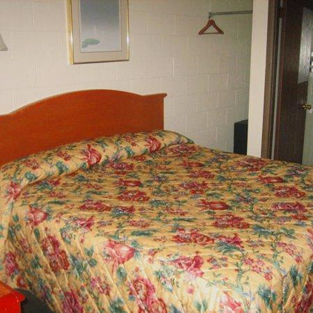 Sleep-Ees Inn, Saginaw & Frankenmuth חדר תמונה